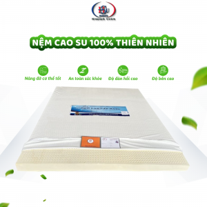 Nệm Cao Su Thiên Nhiên 100% HASUCO - Nệm HASUCO chính hãng