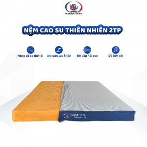 Nệm Cao Su Thiên Nhiên HASUCO 2 Thành Phần - Nệm HASUCO chính hãng