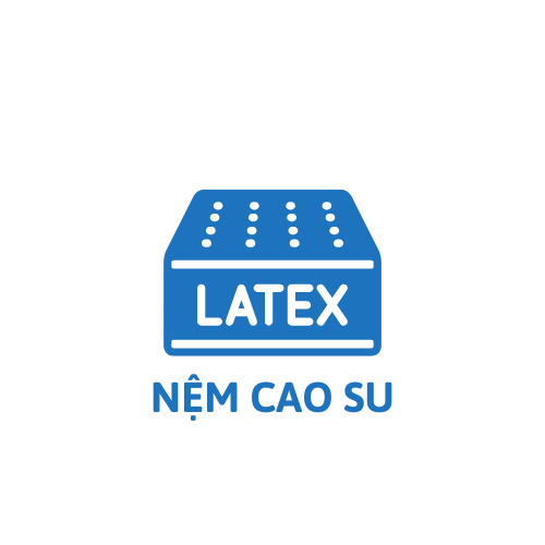 Nệm Cao Su - Nệm HASUCO chính hãng
