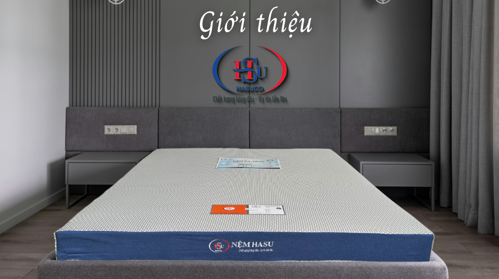 Giới thiệu về Nệm HASUCO