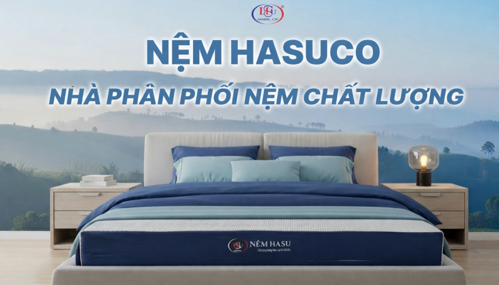 Nệm Hasuco - Nhà Phân Phối Nệm Chất Lượng